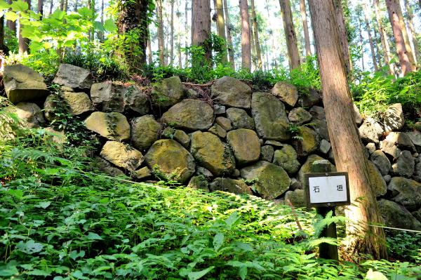 烏山城跡（国指定史跡）に関するページ