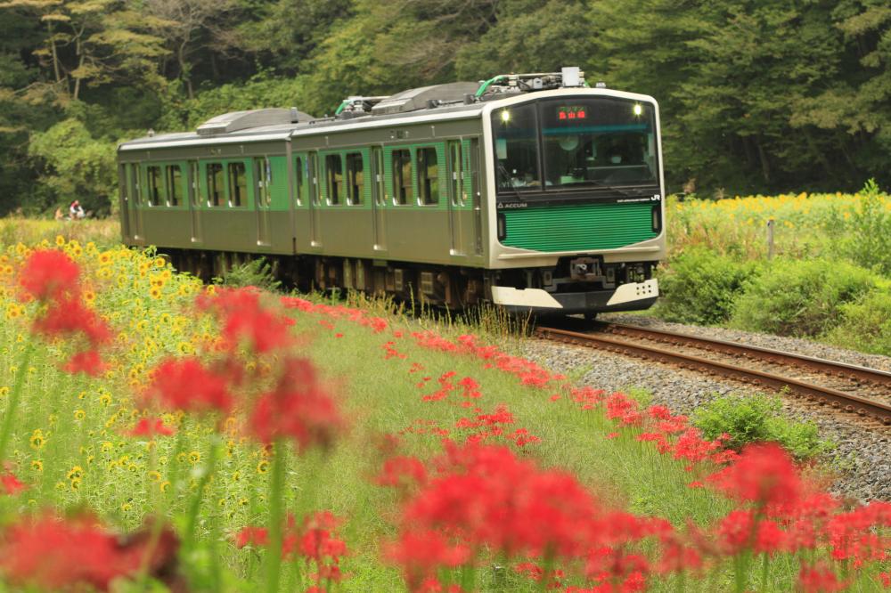 運行情報に関するページ