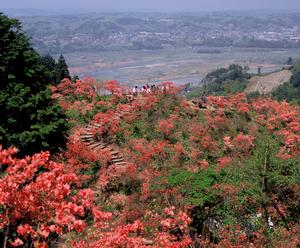 花立峠憩の森公園01