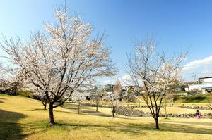 清水川せせらぎ公園01