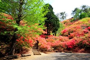 花立峠憩の森公園02