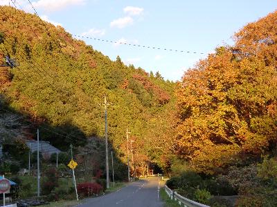 秋も深まる里山の道