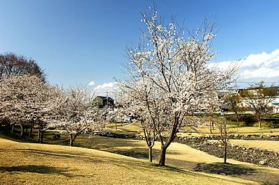 「清水川公園1」の画像