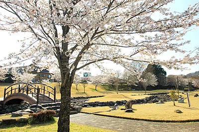 「清水川公園2」の画像