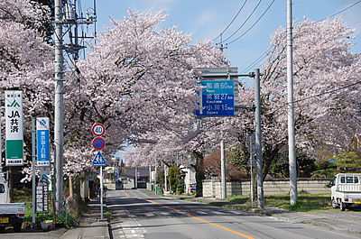 「野上道路脇（なすからいふ）」の画像