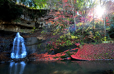 「滝紅葉4」の画像