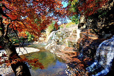 「滝紅葉5」の画像