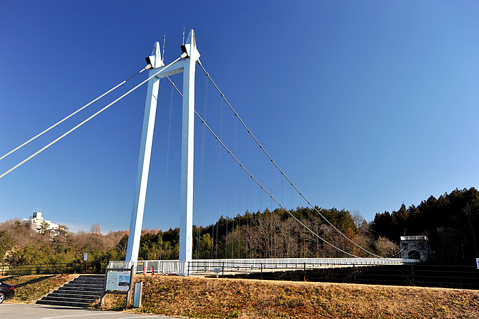 「大金の「吊橋」」の画像