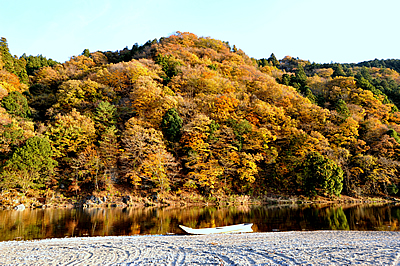 「落石の紅葉01」の画像