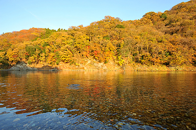 「落石の紅葉02」の画像