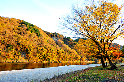 「落石の紅葉03」の画像