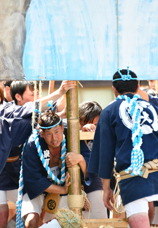 サトーカメラ賞「眼差し」（平成30年）