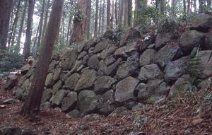 「烏山城の歴史」の画像