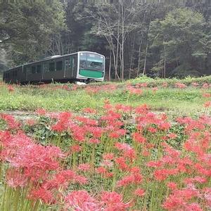 JR東日本大宮支社賞01