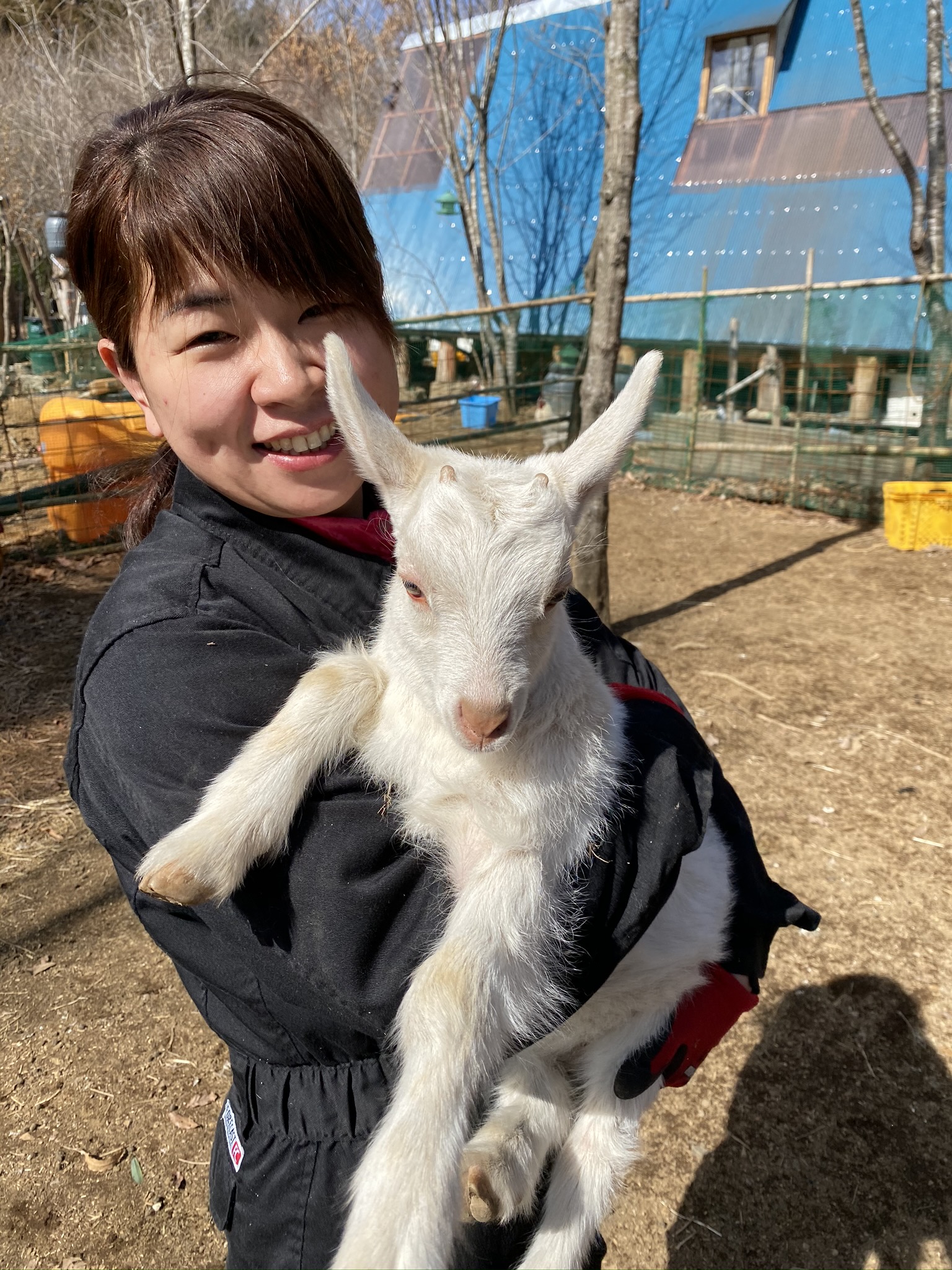 ヤギと1