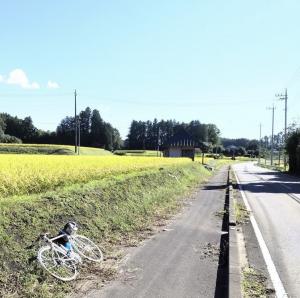 自転車（寺）1