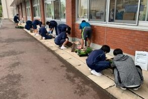 花いっぱい運動烏山中