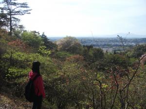 きまぐれとちぎ旅(2)