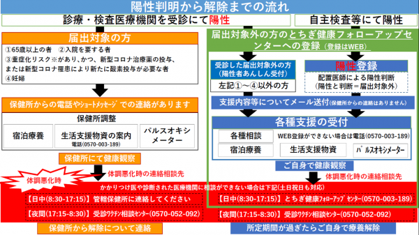 陽性判明から解除まで
