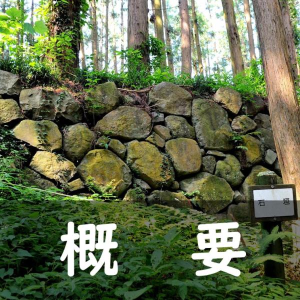 (2)概要（バナー）