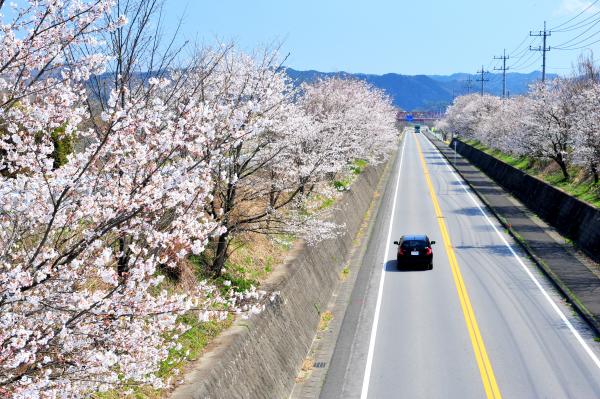 国道294号沿い