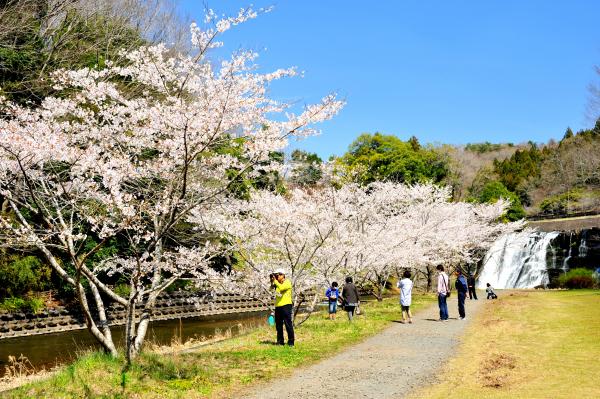 龍門の滝（なすからいふ）