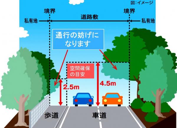 枝張り出しイメージ
