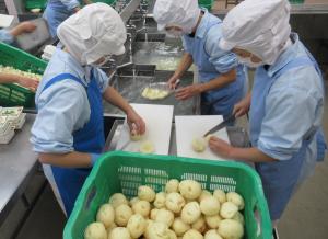 野菜手切り