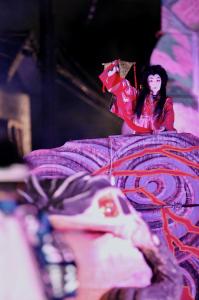 サトカメ賞「師匠の勇姿」