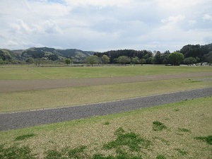 大桶運動公園多目的競技場