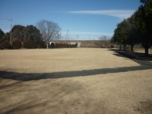 大桶運動公園観覧広場