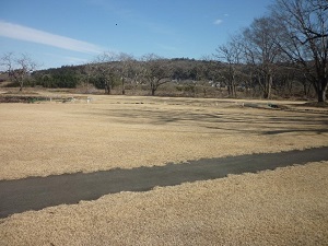 大桶運動公園修景広場