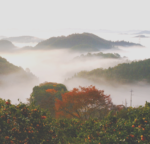 那須烏山市の自然