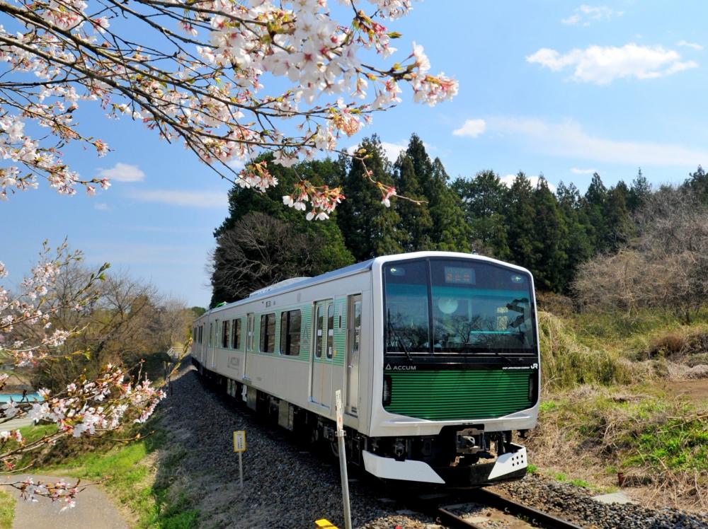 お知らせに関するページ