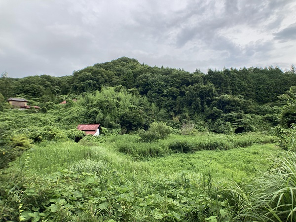 農地